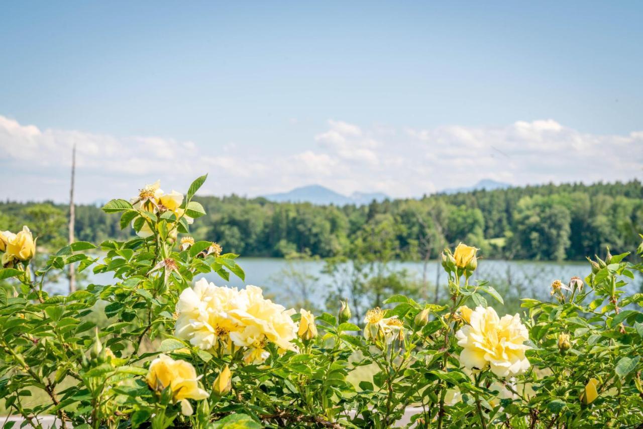 باد اندورف Lebensart Am See المظهر الخارجي الصورة